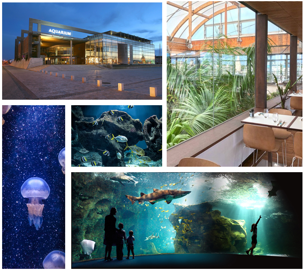 La_Rochelle_Aquarium